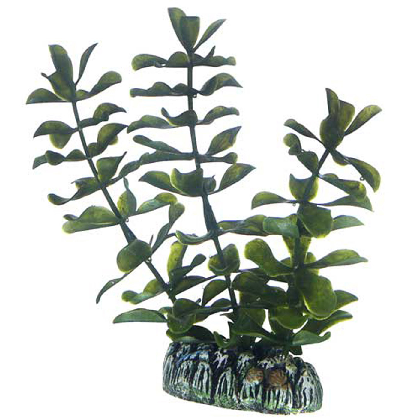 BACOPA PLANT 13 CM