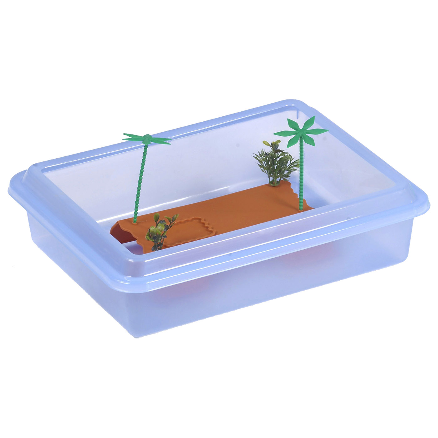 TURTLE BOX "TORTUGA" MEDIUM 42 CM WITH ISLAND