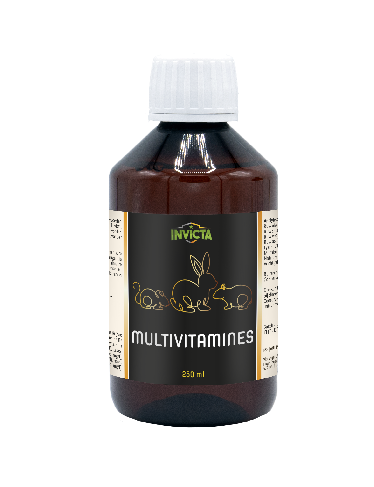 INVICTA MULTIVITAMINS 250ML