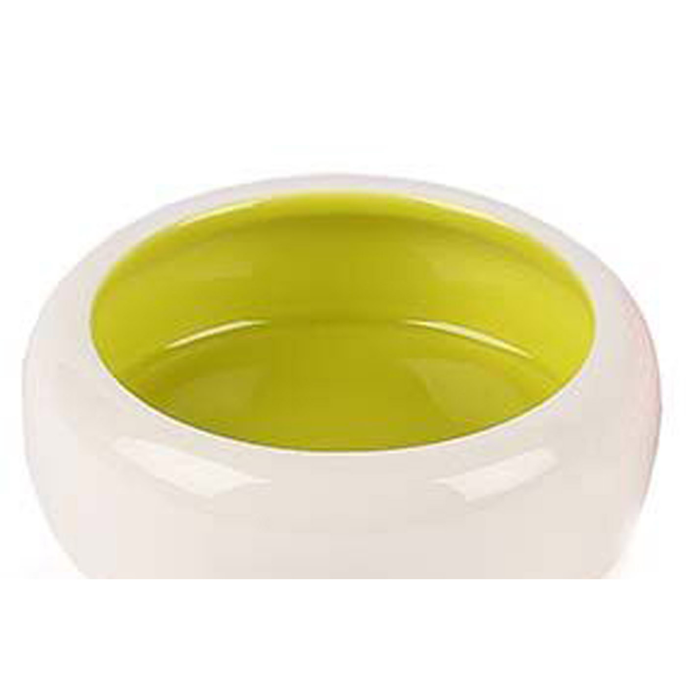 ANTI SPLASH PET BOWL - GREEN