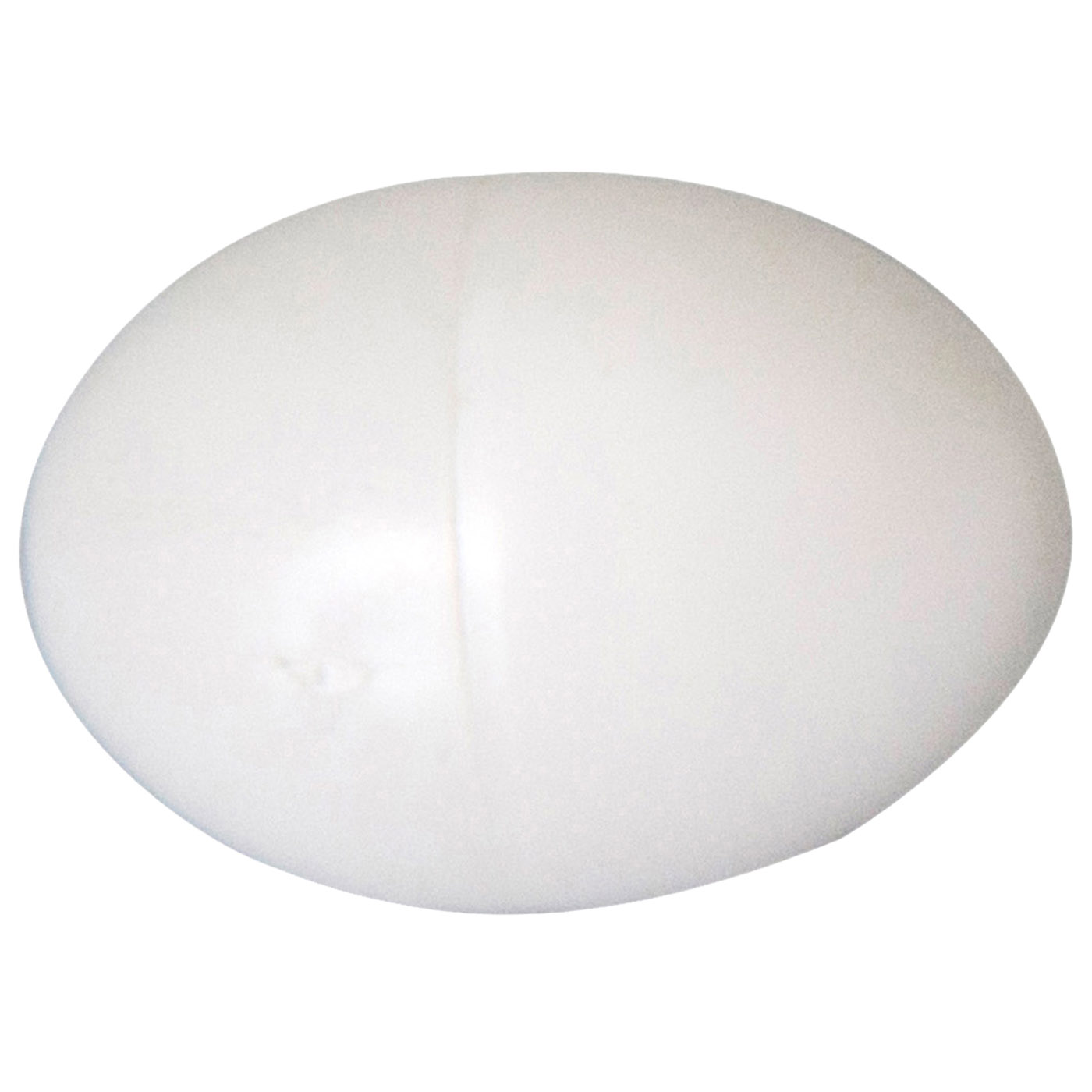 PLASTIC PIGEON EGG 4X3CM