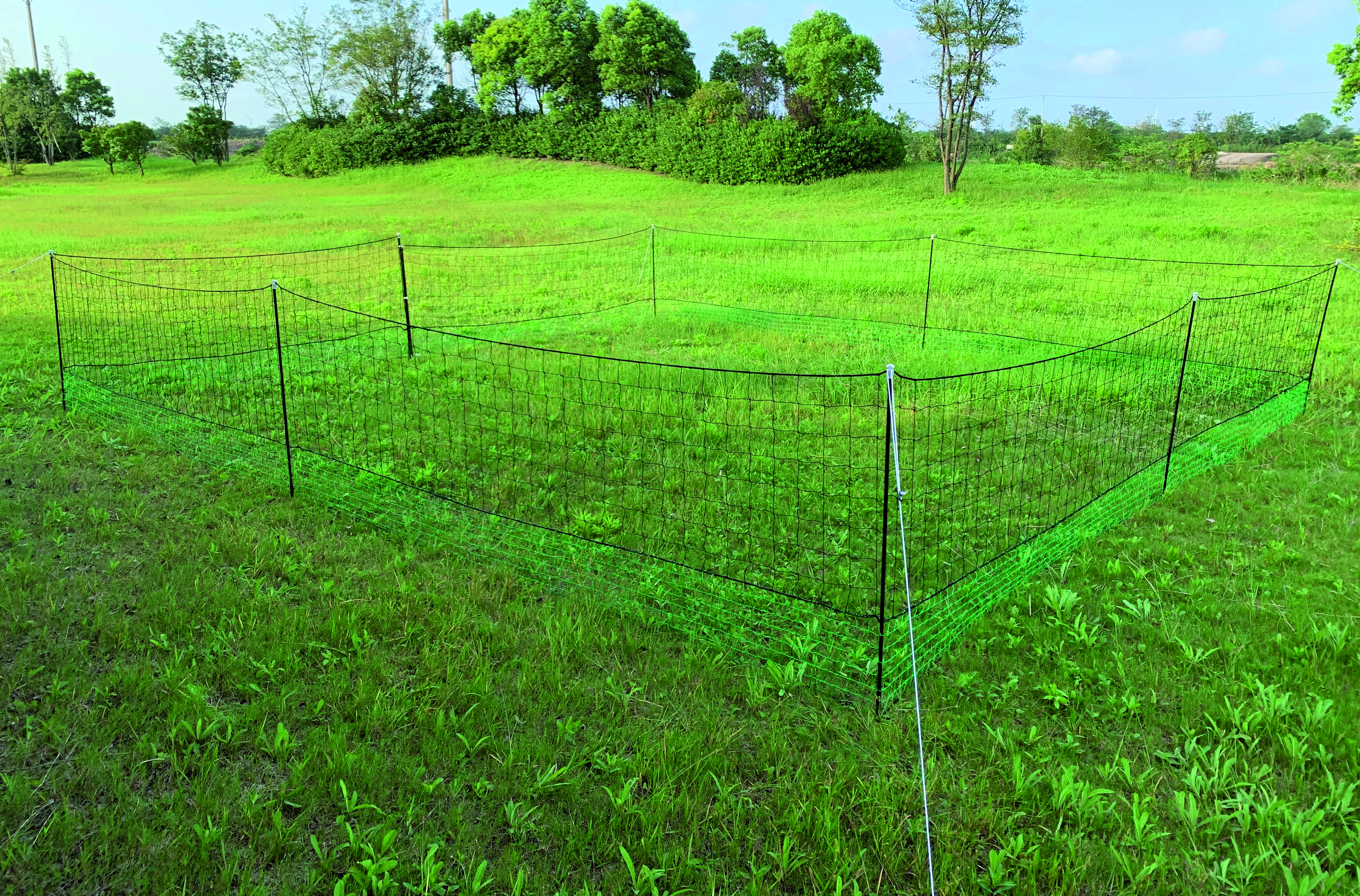 KIPPENREN IN NET - 21 X 1,25 M