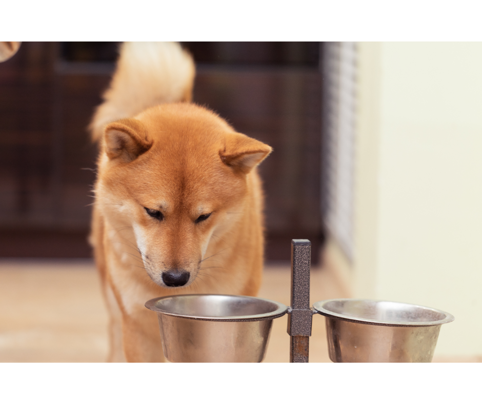 Eat & Drink Utensils