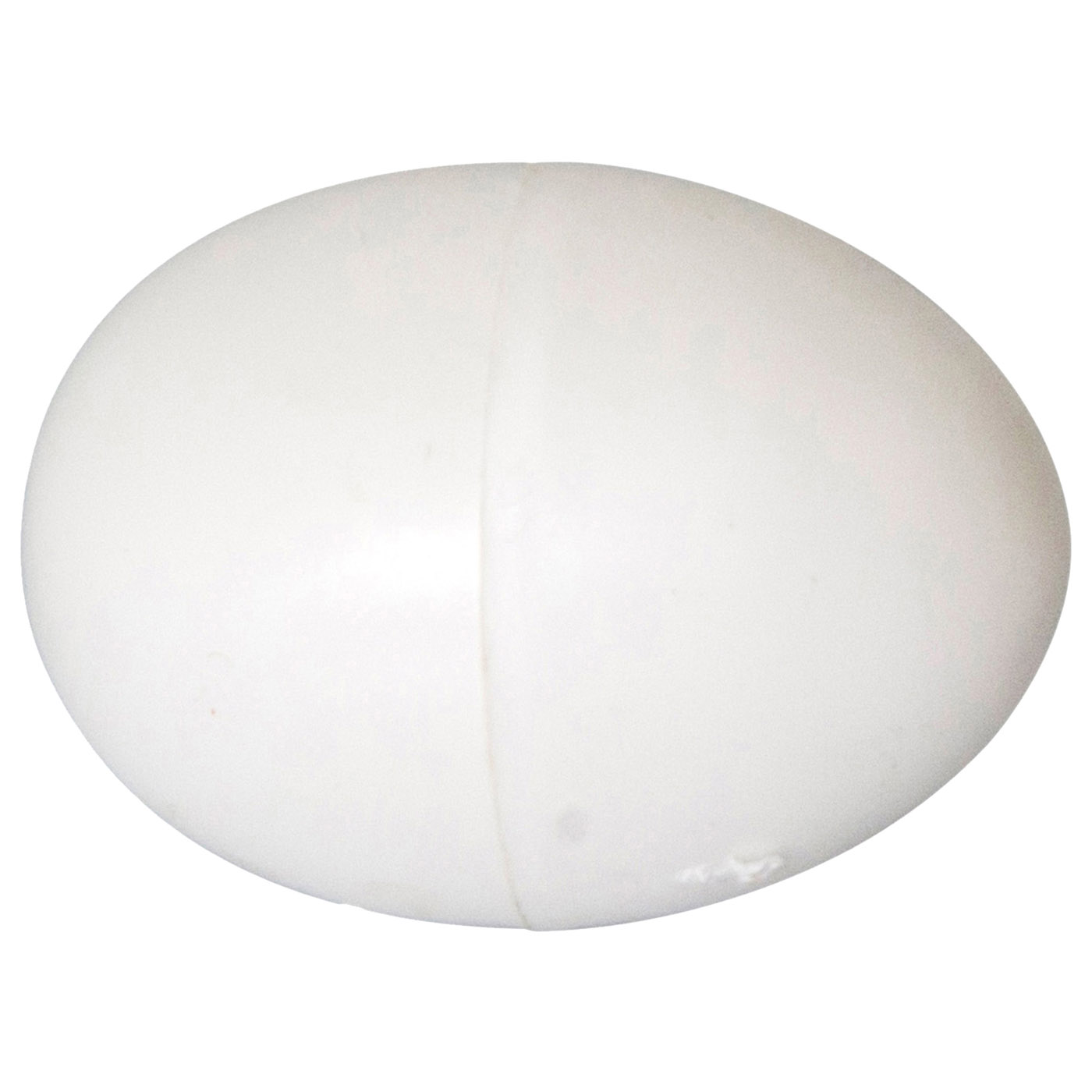 OEUFS EN PLASTIQUE POUR POULES 6X4 CM