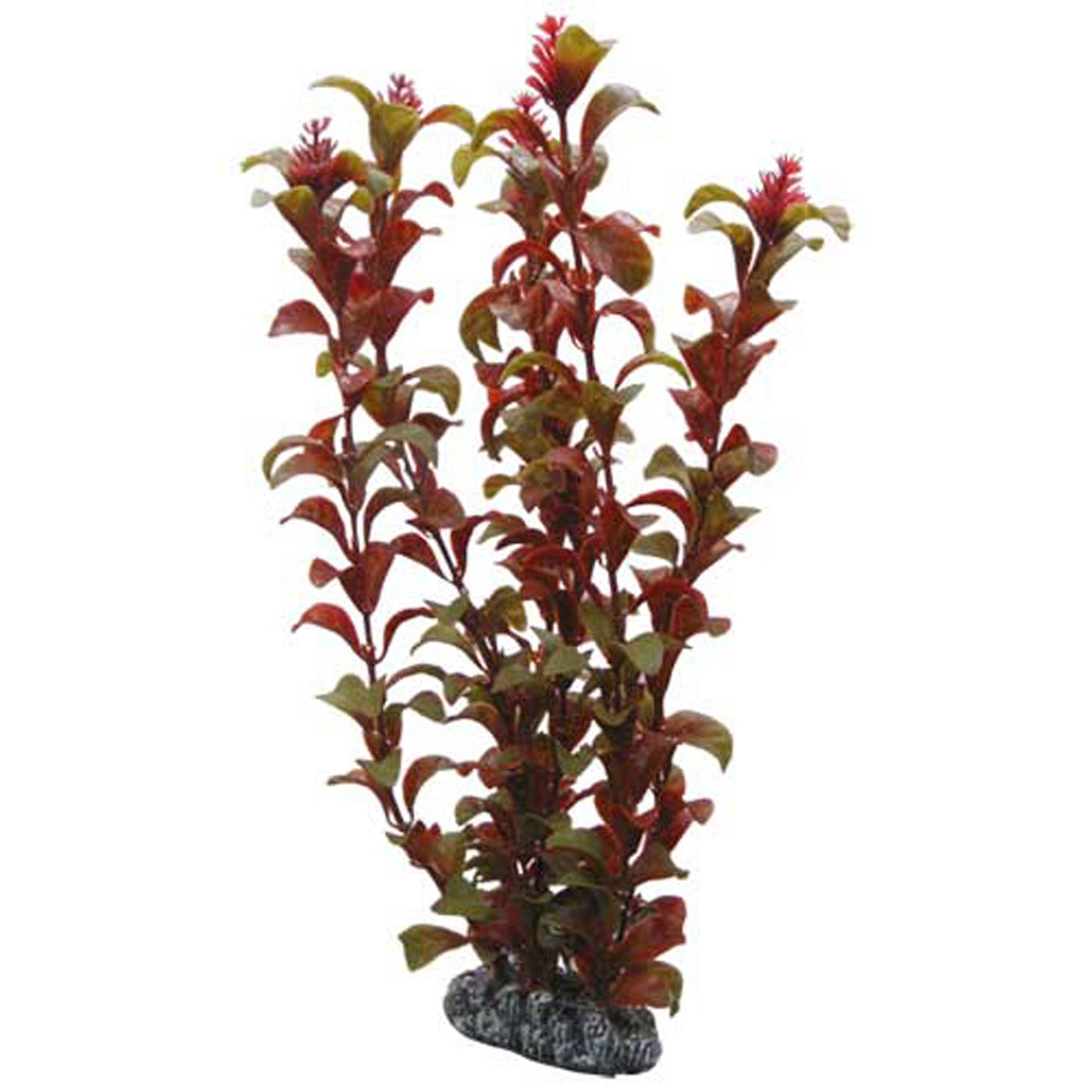 ROTALA 30 CM