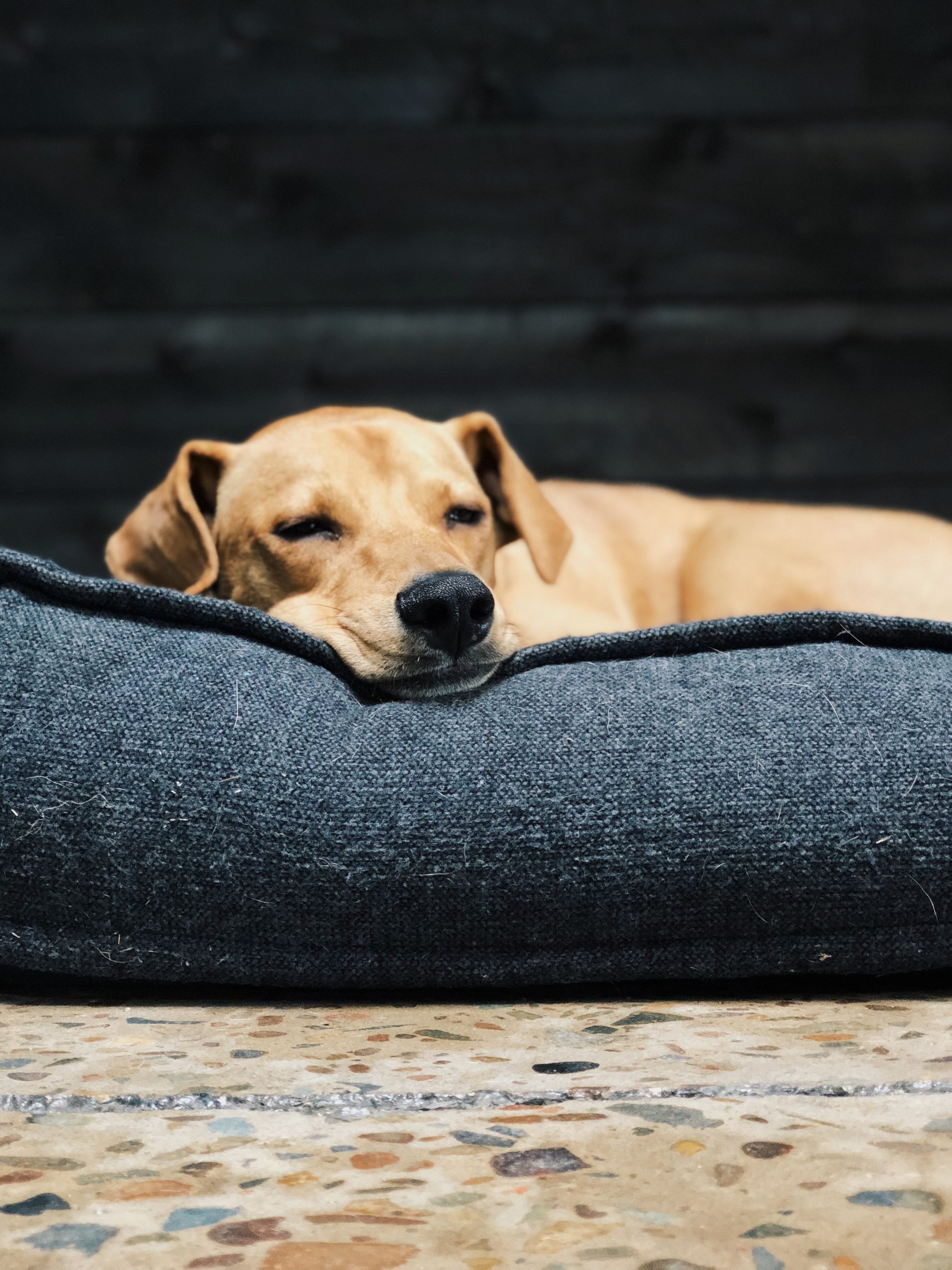 Sleeping Place