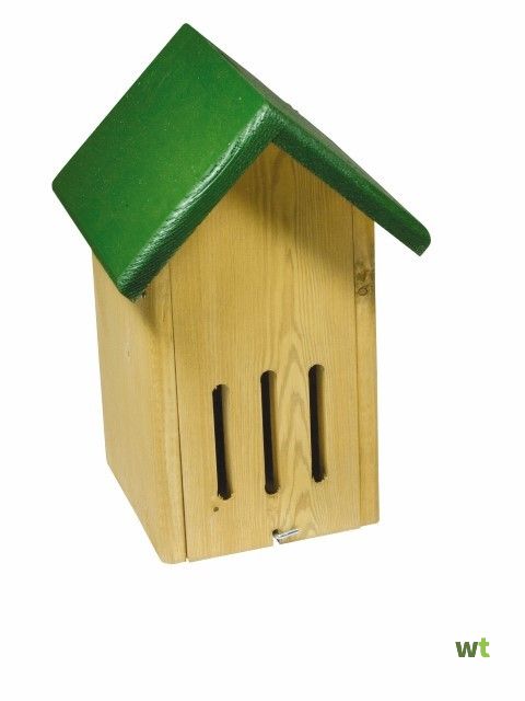 BUTTERFLY CABINET