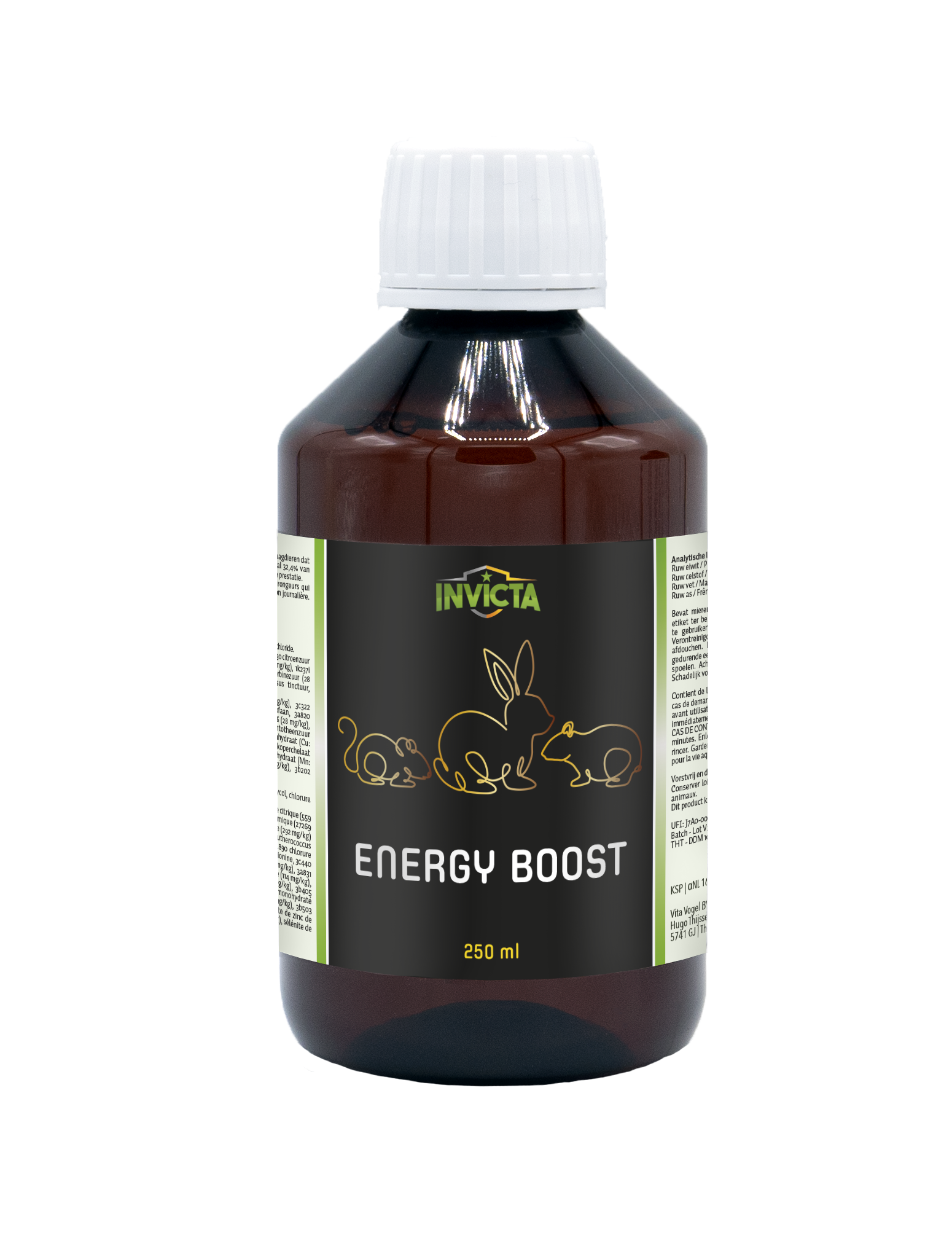 INVICTA ENERGY BOOST 250ML