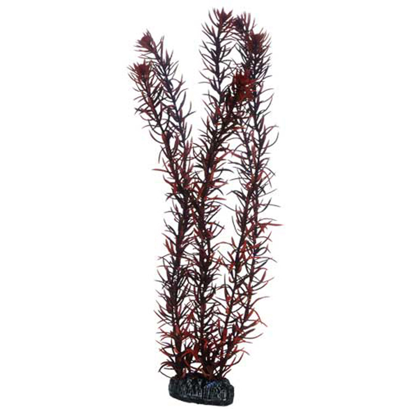 EUSTERALIS PLANT 39 CM