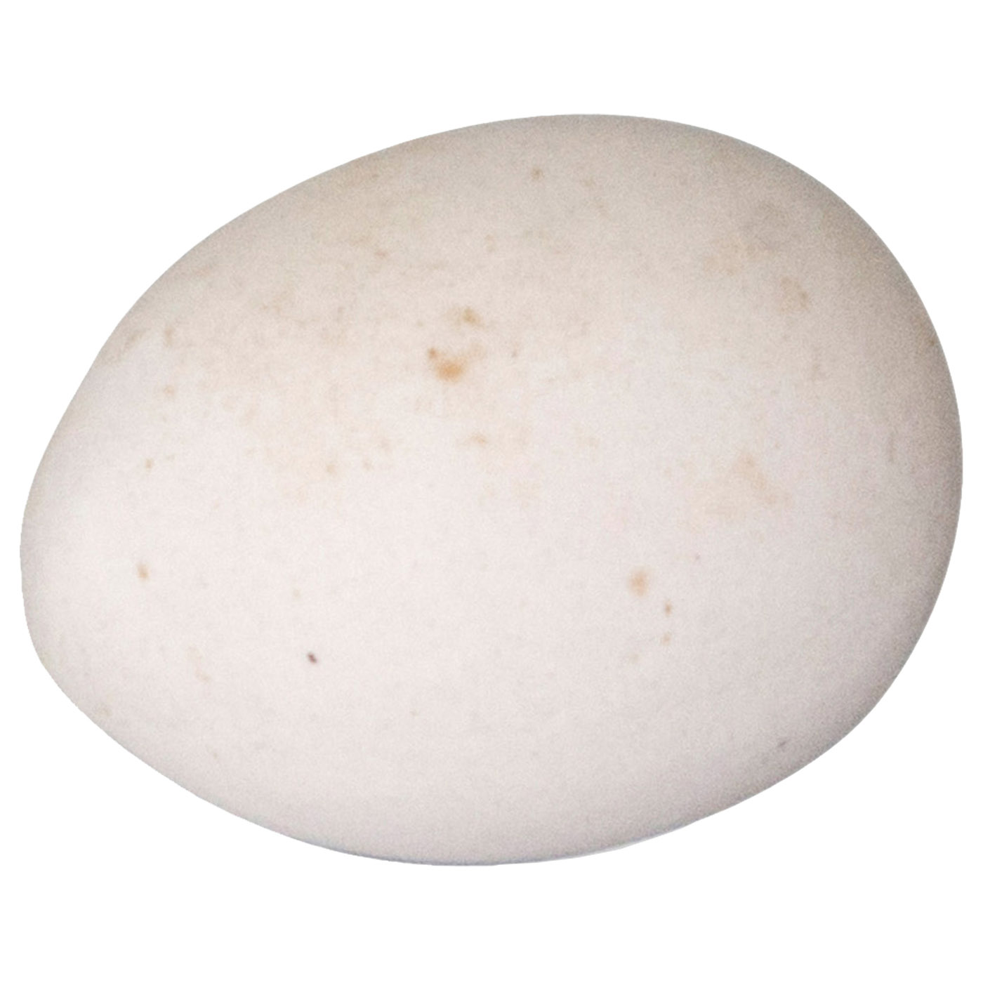 CLAY NESTING EGG FOR PIGEON 4X3CM